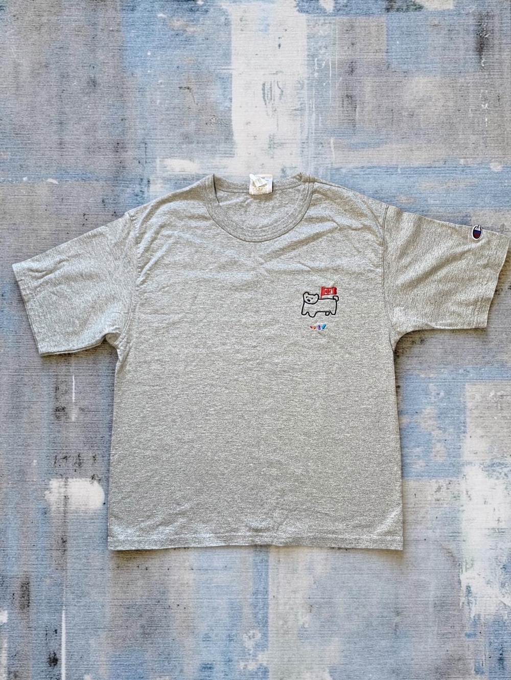 Champion Unisex T-Shirt S Classic Heather Gray Cotton Embroidered Bear Canada Fl